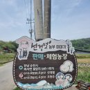 선경농장 이미지