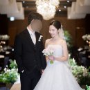손수그라피 | Wedding 08. 본식스냅 : 손수그라피 계약 후기 📸 (그랜드힐컨벤션, 가성비 본식스냅, 100만원 본식스냅)