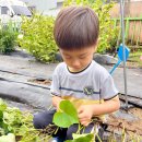 동명어린이집 이미지