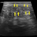 위례중앙동물의료센터 이미지