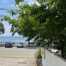 해수욕장언덕위펜션 | 거제도 학동몽돌해수욕장 앞 깔끔한 감성 숙소, 오루펜션