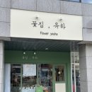 유하꽃집 | | 부산꽃집추천 | 부산 연산동꽃집 | '꽃집, 유하'에서 봄맞이 사랑스러운 반려화분 분양후기