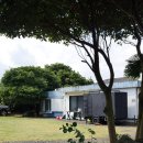 성읍2리 이미지