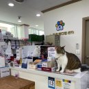 e-동물 메디컬 센터 이미지