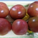 은율농장 이미지