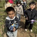 아이큰숲어린이집 | 숲세권에서 배우는 자연진화 아이큰숲자연학교어린이집 화곡어린이집