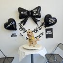 (11/21)반려동물 수제간식 고구마쿠키 | 포항 반려동물수제간식 디어마이댕 강아지케이크 기호성좋아요