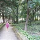 스테이오힐 이미지