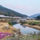 철수마을 이미지