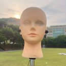 한국영상대학교 이미지