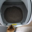 코코환경 | 🌿 먼지 없는 친환경 고양이모래, 매직코코 솔직 후기