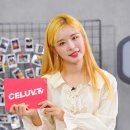 루 이미지