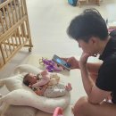 평화5(쌍둥이) 이미지