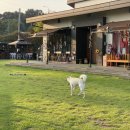 이호운동장 이미지