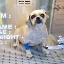 해운대플러스동물병원 이미지