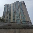 서구-54 이미지