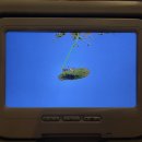 NR-26[번영로]-상-51 | 제주도 여행( 12월 3월..^^뒷북우당탕 )🍊🌧