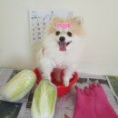 전포유치원 이미지