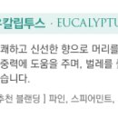 힐링..더오가닉테라피