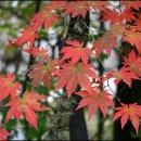 노곡주유소 이미지