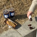도그와트 | 수원 행궁동 츄러스 맛집 츄플러스｜아이스크림 츄러스 유명한 디저트 카페 내돈내산