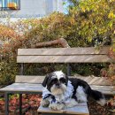 능허대공원 이미지