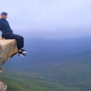 블루마운틴 이미지