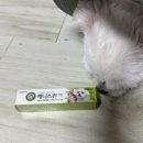 거여서울약국 이미지