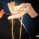 탐나금
