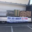 고성청과
