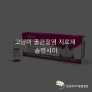 분당데이지동물병원 | 솔렌시아 도입┃ 고양이 골관절염 치료제 ┃ 성남 분당 고양이병원 데이지동물병원