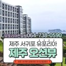 유포리아컨설팅