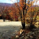 진틀펜션캠핑장 이미지