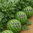 성하식당 티스토리