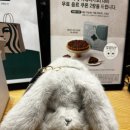 스타벅스 보라매공원R점 네이버블로그