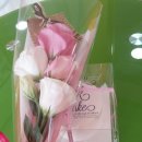 휘성태권도장 이미지