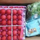 유마트 이미지