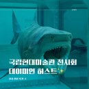 국립현대미술관 데이미언 허스트 전시 무료 주차 후기