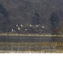 경안천 4 이미지