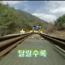 코리안순대