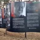 남이섬(추가) 이미지