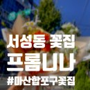 프롬니나 이미지