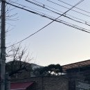 프로젝트 파이브 | (수원 팔달구)🍕옥수수 피자에서 인생을 보았다 – ‘로우파이브’ 후기