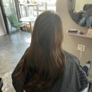 소담 살롱 이미지