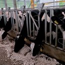 우들농장 이미지