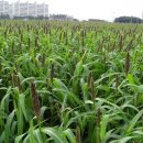 성기호한의원 이미지