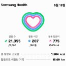 5/13(수)산행과여행클럽,아트님과 /5670와와산악회/첫발(한강회정산에서) 이미지