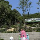 꿈꾸는이상갈비명가이상길음신관 | s 육아일기 #69] 걷고 즐기는 도심 속 힐링 코스, 북서울꿈의숲 산책 & 갈비명가 이상 본점 나들이 후기