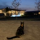 영농조합법인 동편제마을 이미지