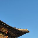 파비아나필리피현대판교 | 추석연휴 경복궁 둘레길 걷기